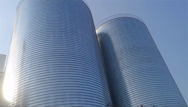 金坛2座混凝土高架卷板仓